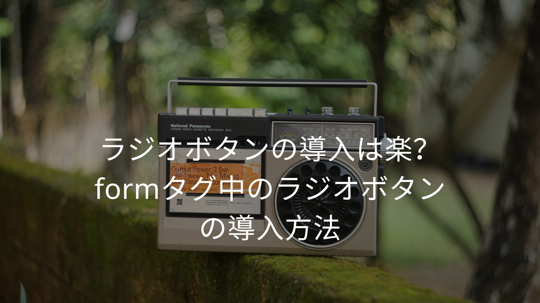 ラジオボタンの導入は簡単 Formタグ中ラジオボタンの導入方法 ウェブカツ公式blog
