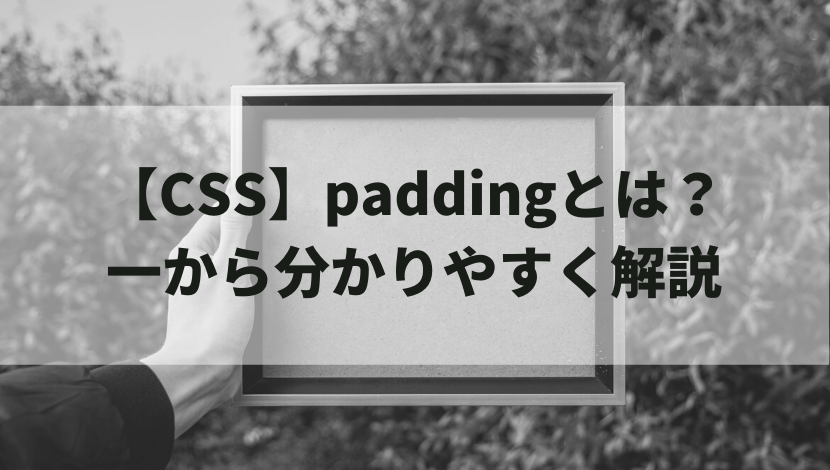 Css Paddingとは 一から分かりやすく解説 ウェブカツblog