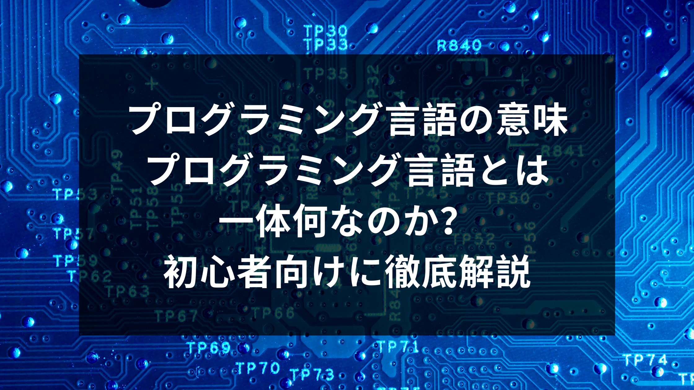 プログラミング言語の意味 プログラミング言語とは一体何なのか 初心者向けに徹底解説 ウェブカツ公式blog