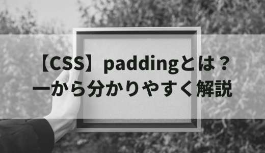 【CSS】paddingとは？一から分かりやすく解説
