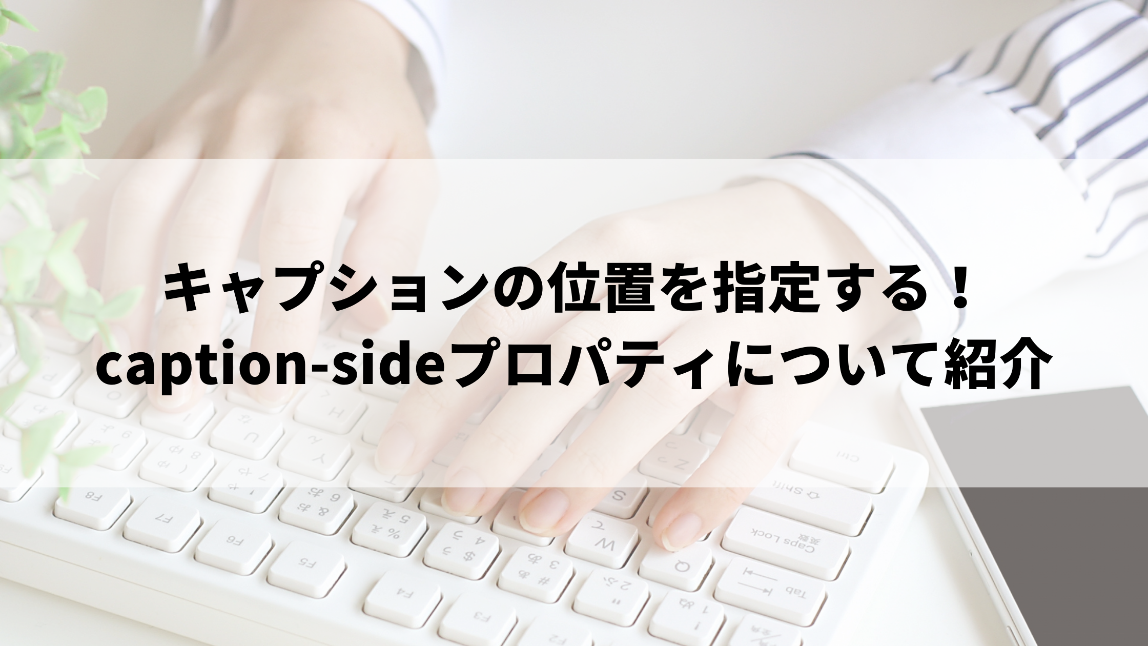 キャプションの位置を指定する Caption Sideプロパティについて紹介 ウェブカツ公式blog